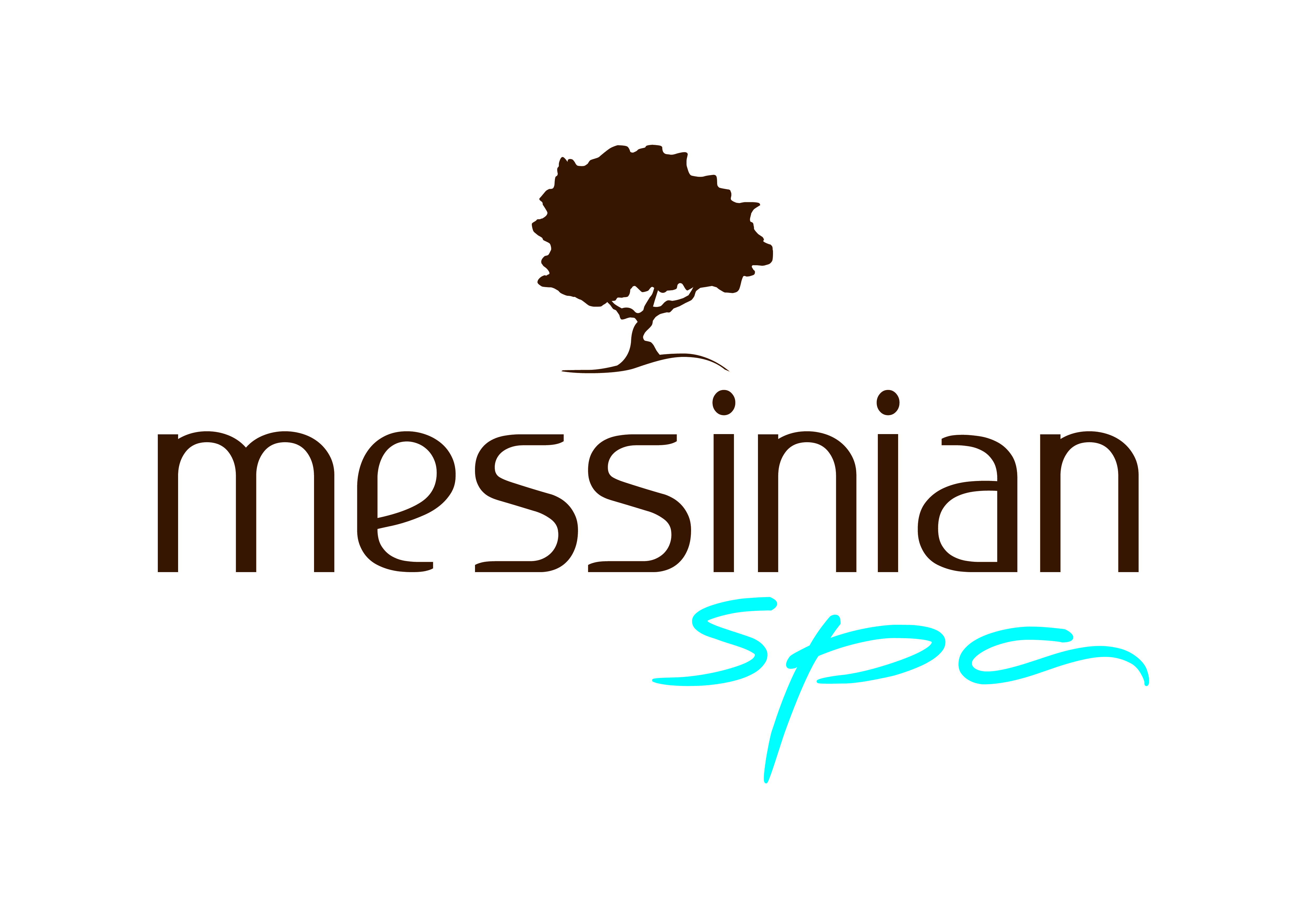 MessiniaSpa logo